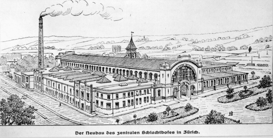 baz-071631-schlachthof-zuerich-1908